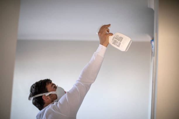 Best Office Mold Removal Services  in Farngton Hills, MI